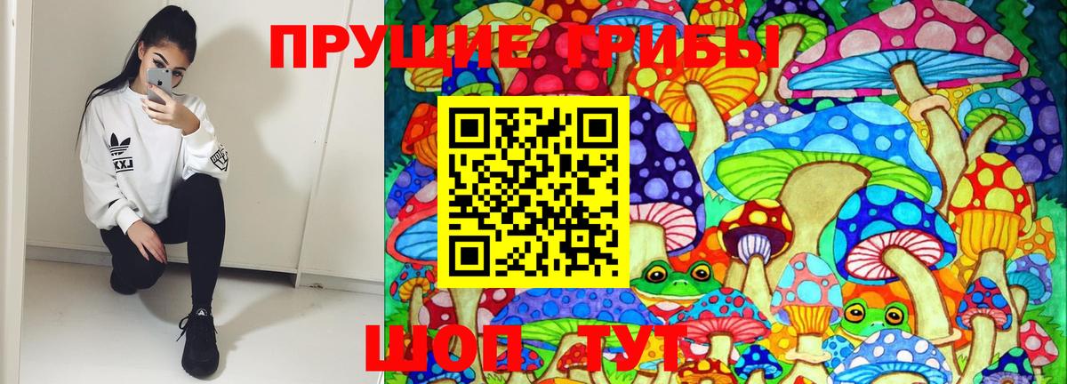 Псилоцибиновые грибы Cubensis Тейково