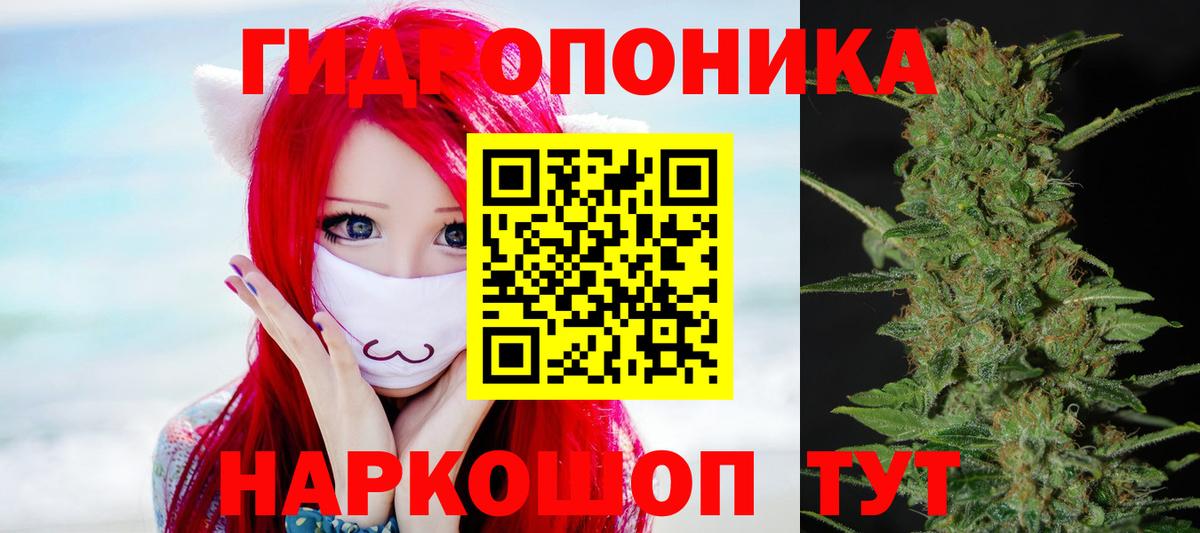 Конопля индика  Бошки Шишки планчик  Вход с VPN  Бошки марихуана гибрид  Канабис SATIVA & INDICA  Тейково 